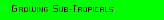Growing Sub-Tropicals